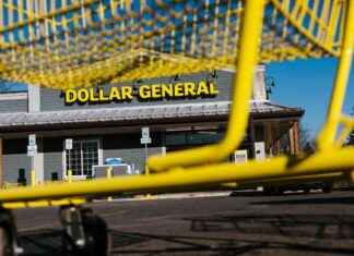 Dollar General Store Review Impact on Q4 Earnings dollar-general-store-review-mpact-on-q4-earnings
