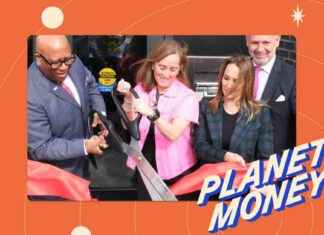 Starting a Bank: Ultimate Guide for Beginners starting-a-bank-ultimate-guide-for-beginners