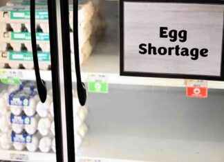 Why Canada Has More Eggs Than the U.S. why-canada-has-more-eggs-than-the-us