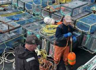 Navigating the Impact of U.S. Tariffs on Canada navigating-the-mpact-of-us-tariffs-on-canada