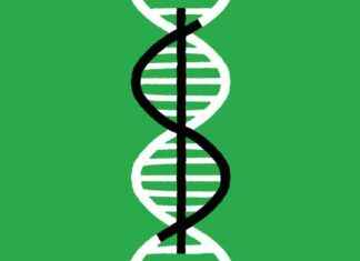 Protecting Your DNA in Bankruptcy: What You Need to Know protecting-your-dna-in-bankruptcy-what-you-need-to-know