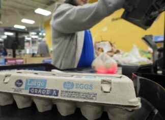 U.S. Egg Prices Dip for First Time in Months, Still Near Record Highs us-egg-prices-dip-for-first-time-in-months-still-near-record-highs