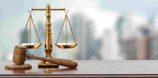 2025 Legal Guide: Thrive in Legal Matters Legal News, Legal Advice, Best Attorneys, Best Lawyers, Top Law Firms, Legal Updates, Lawyer Tips, Attorney Insights, Legal Guidance, Expert Lawyers